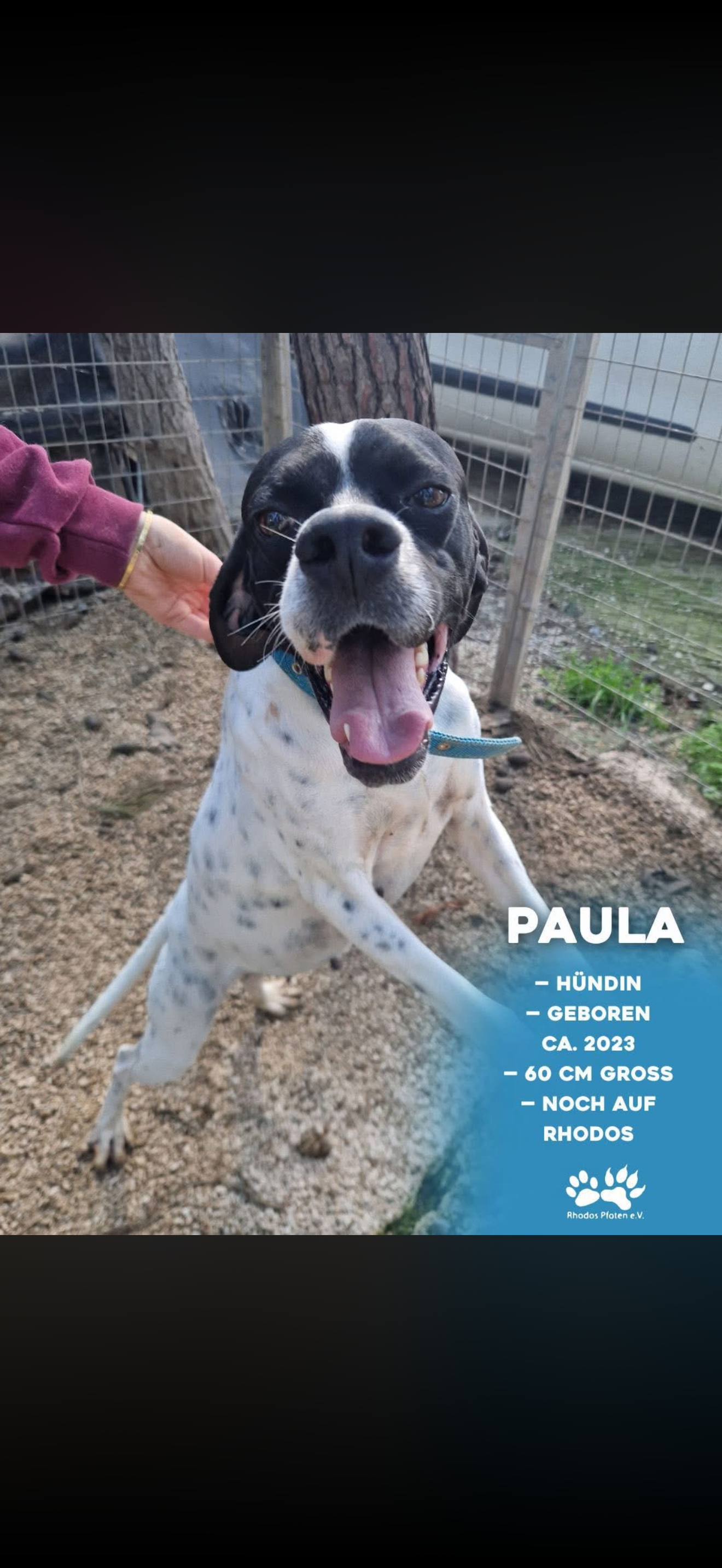Paula