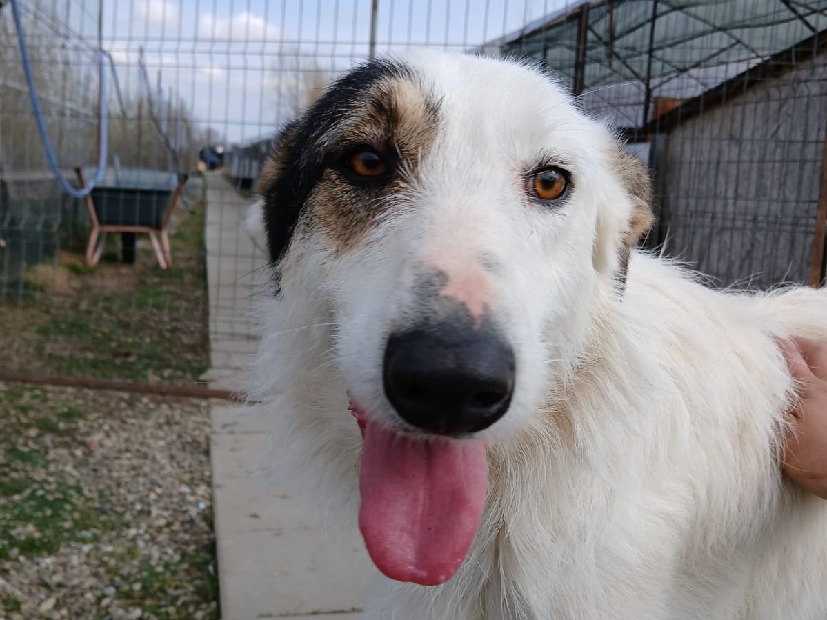 🆘 Notfall sanfte Agnes 🆘