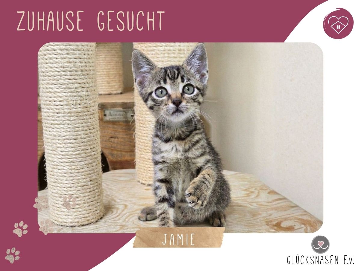 Jamie spielt und kuschelt gern