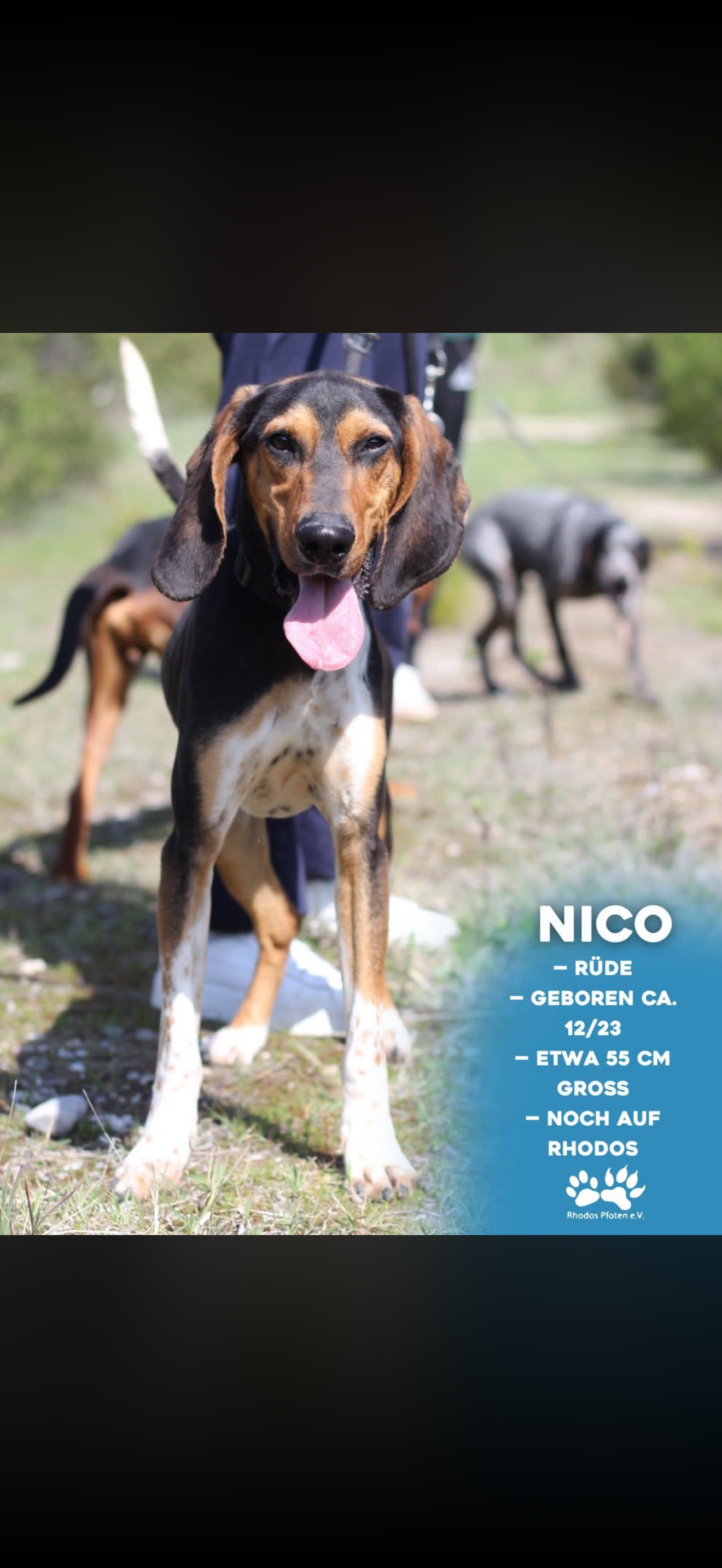 Nico