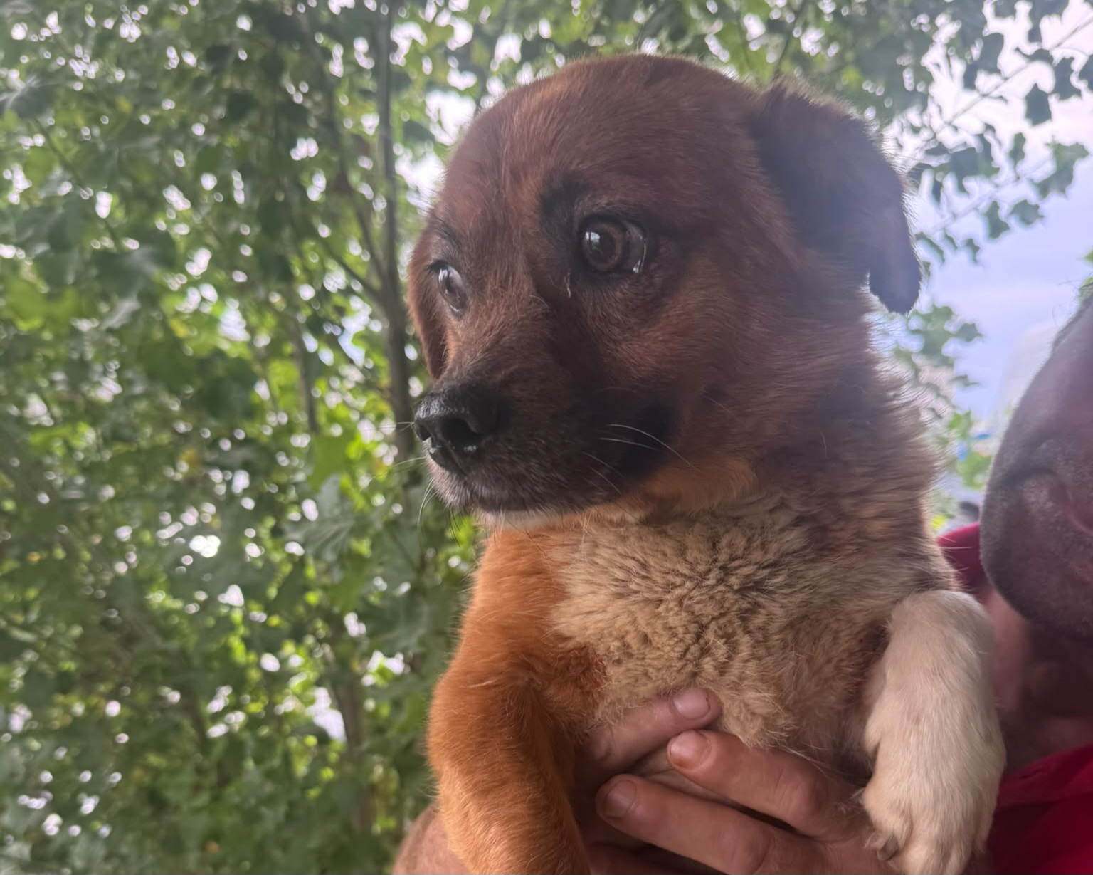 Pablo💕genießt die Nähe