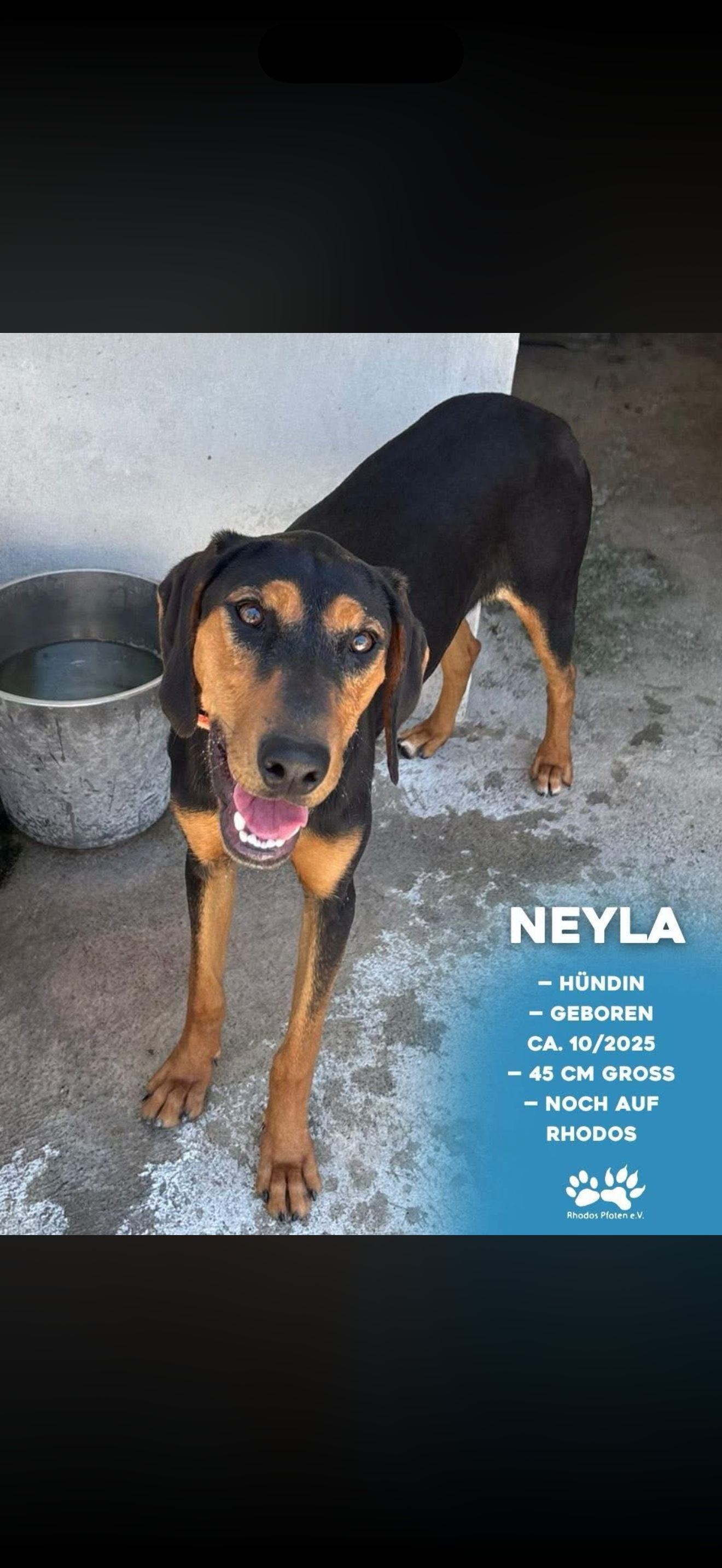 Neyla