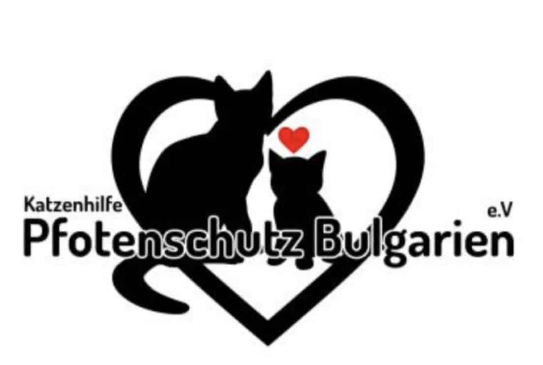 Katzenhilfe e.V.: Pfotenschutz Bulgarien