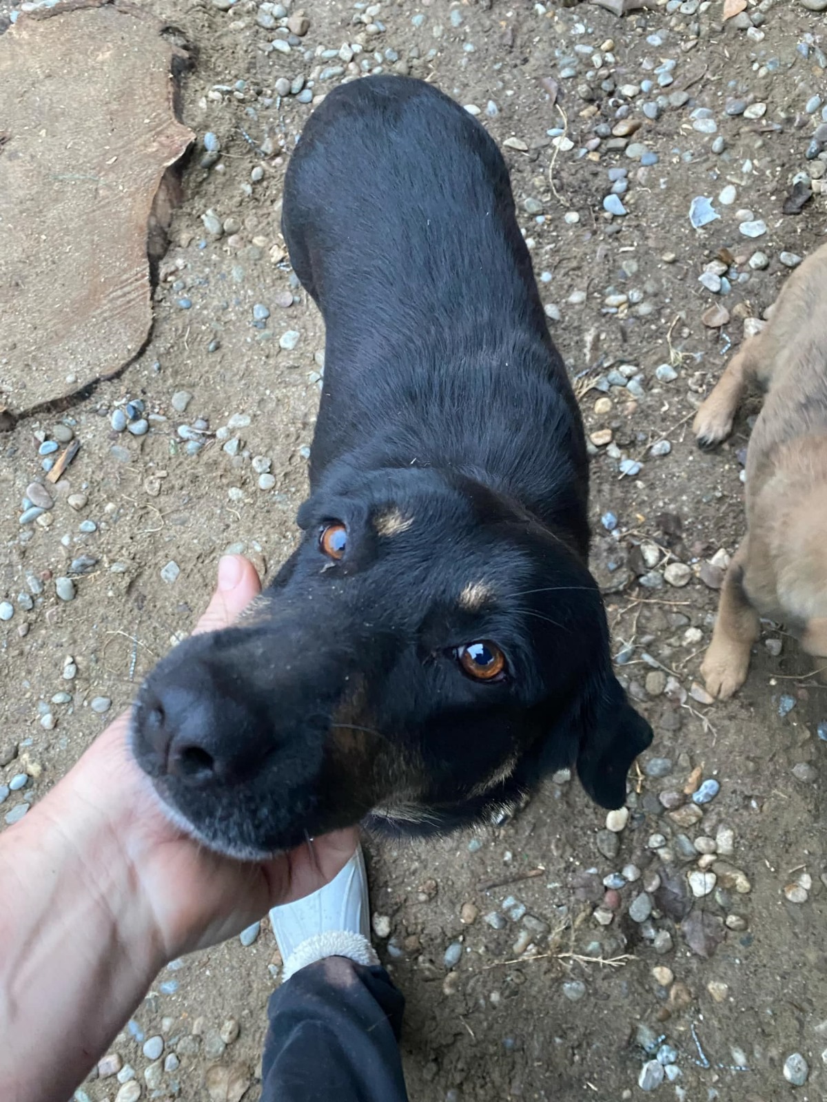 🆘Lana – NOTFALL🆘
