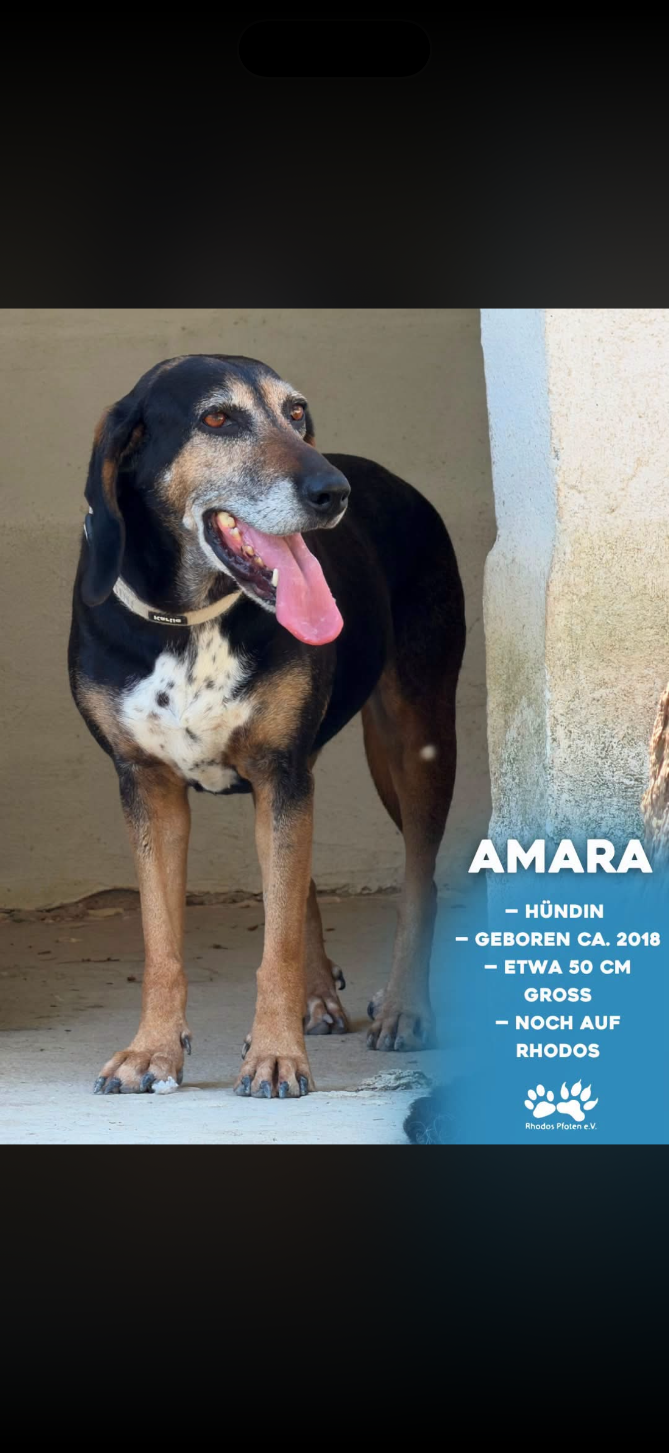 Amara