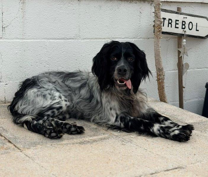 Jacinto