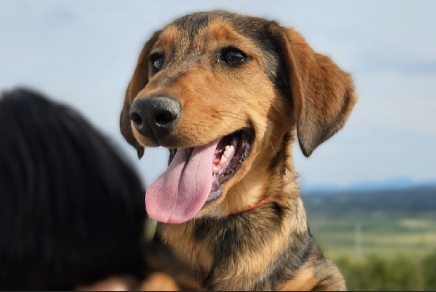 Maggie