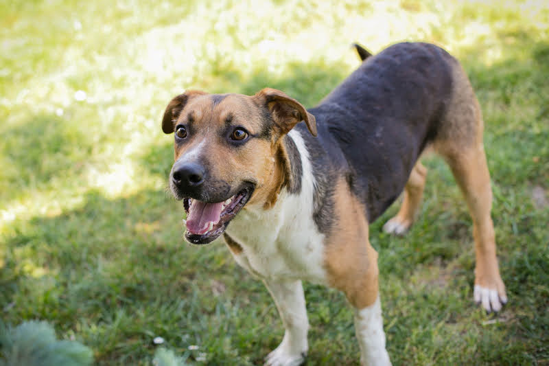 Tobi
