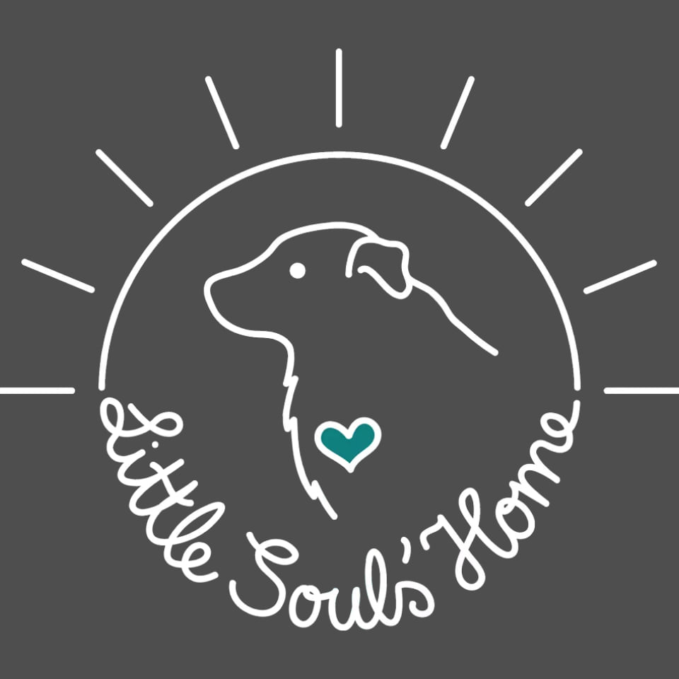 Little Souls' Home e. V.