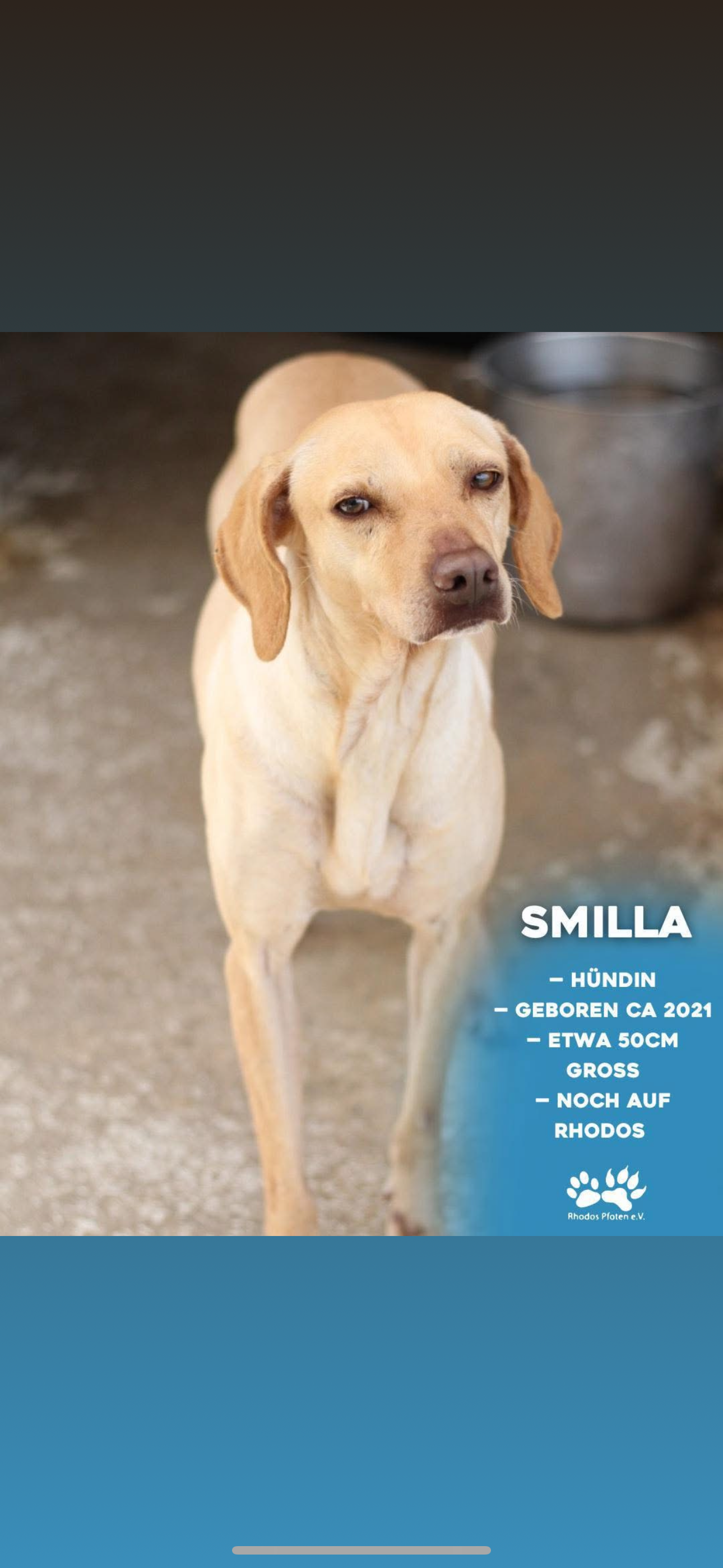 Smilla