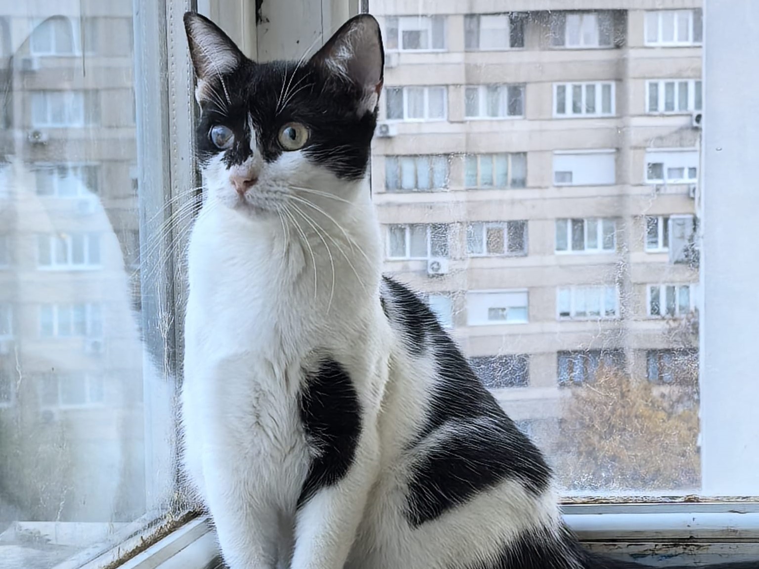 🌸Zuckersüsse Zoe 🌸