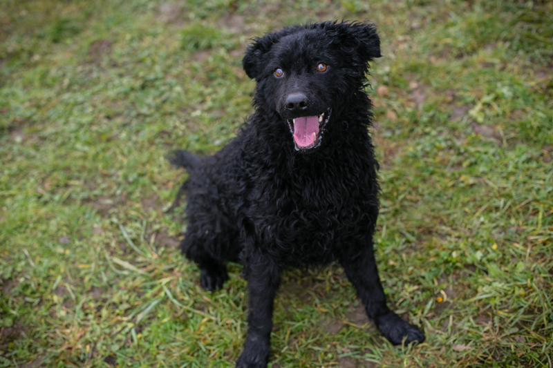 Coby