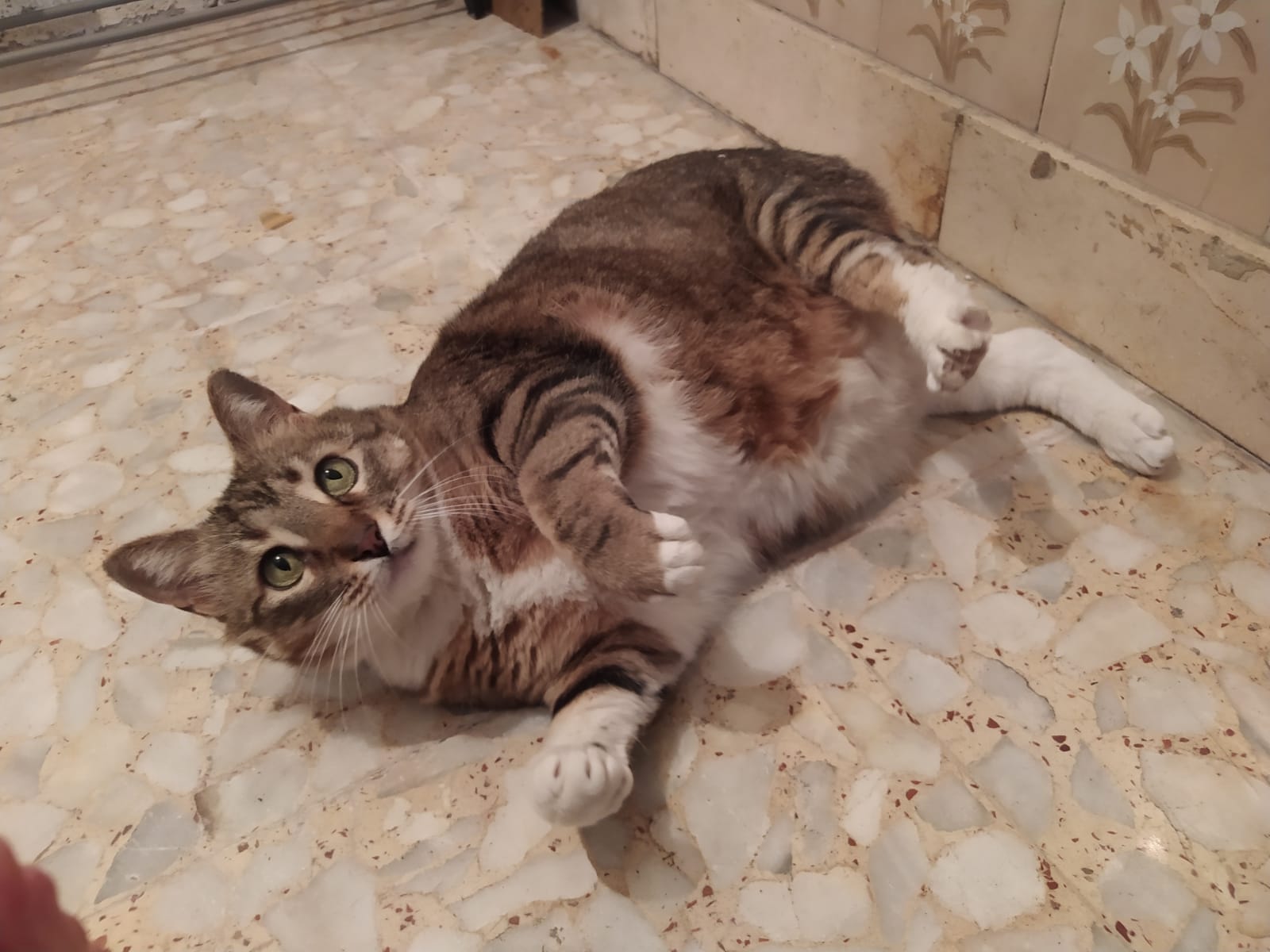 Mara