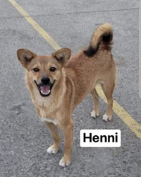 Henni