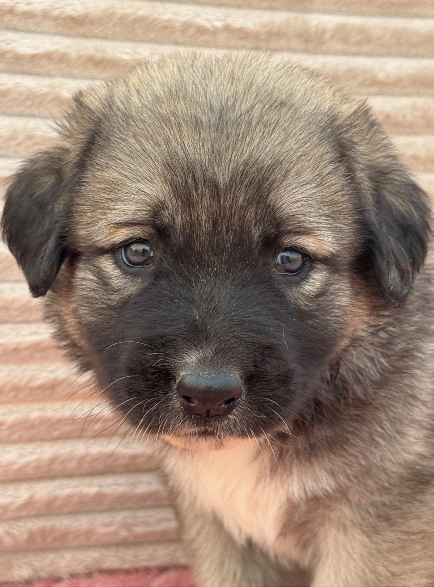 Erna
