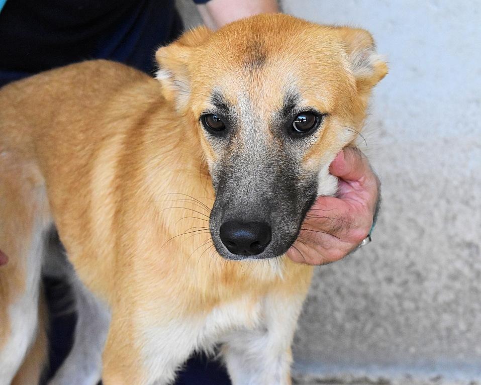 Osita
