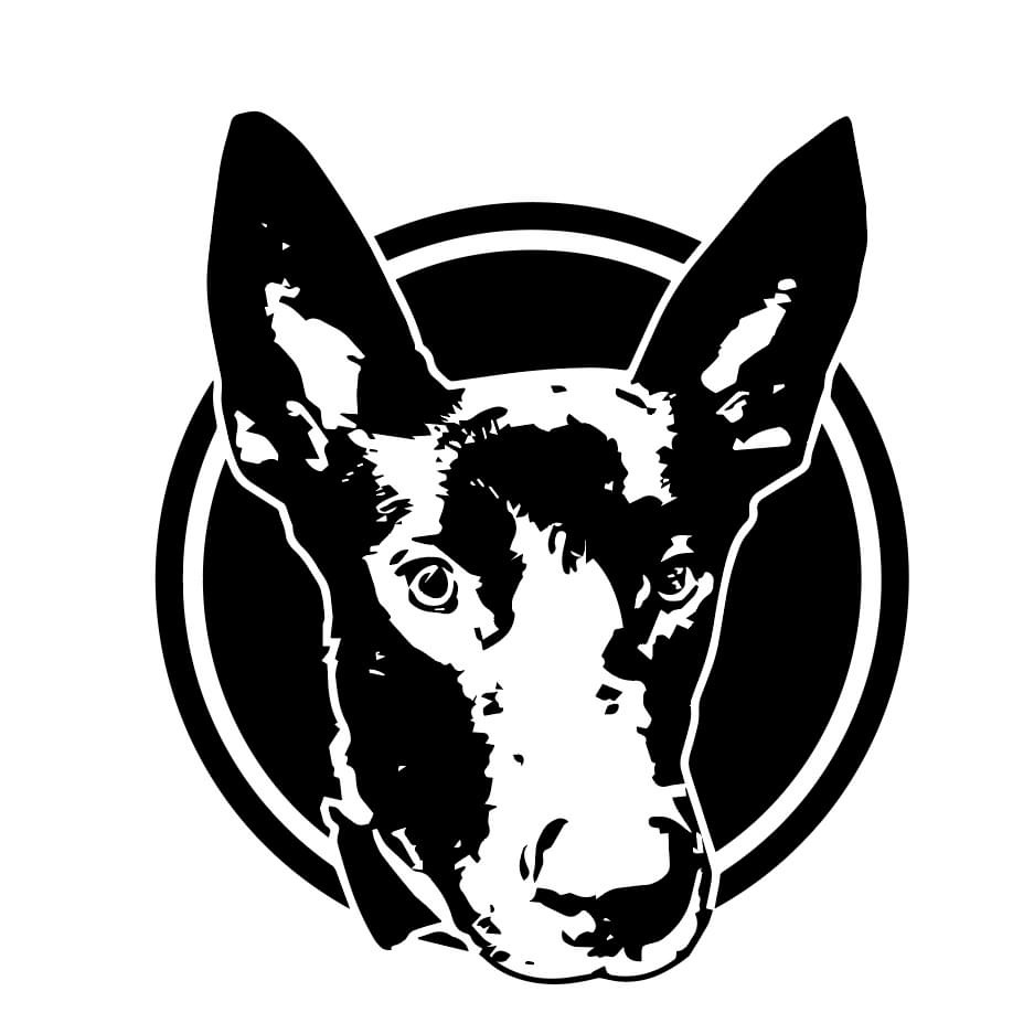 Tierschutz Pur e.V.