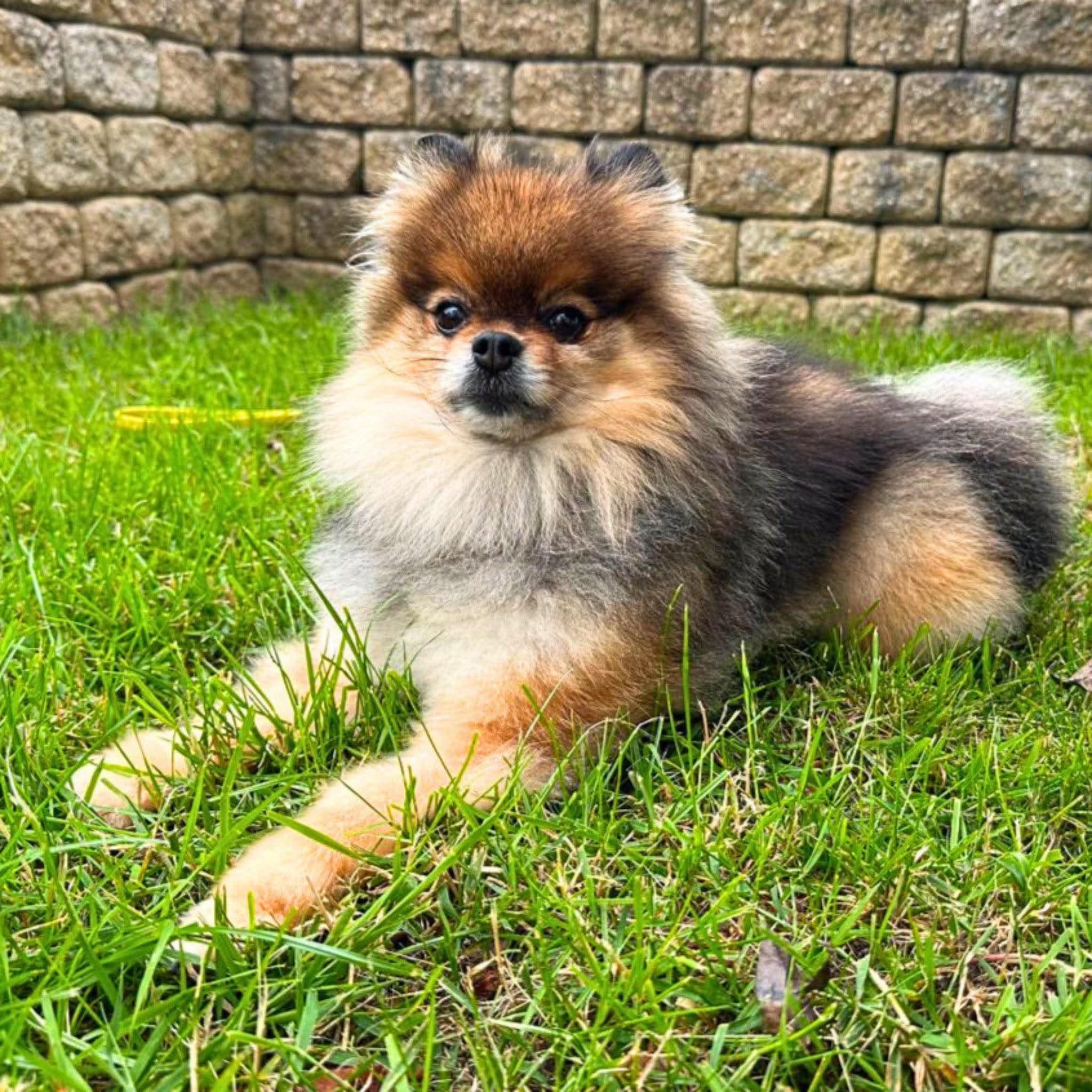 Lui🐾wartet in 63110