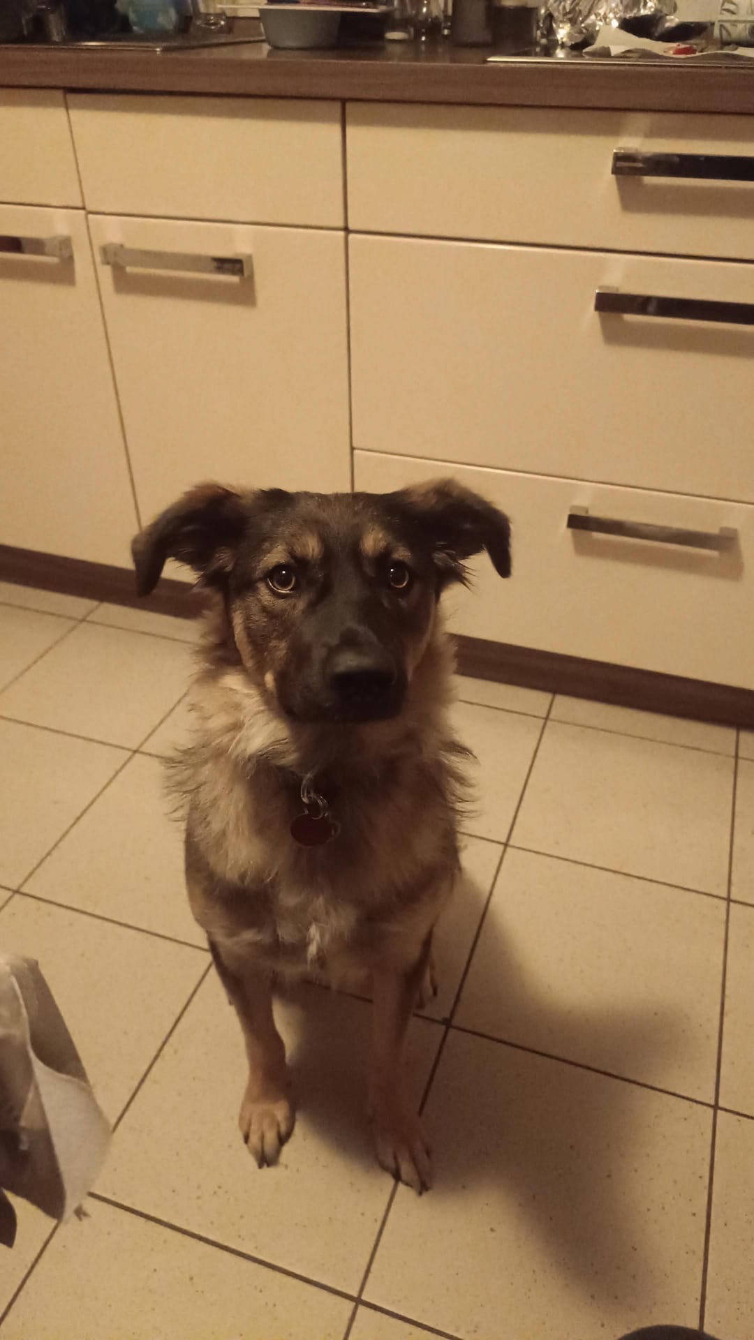 Bayana 🐾🐕