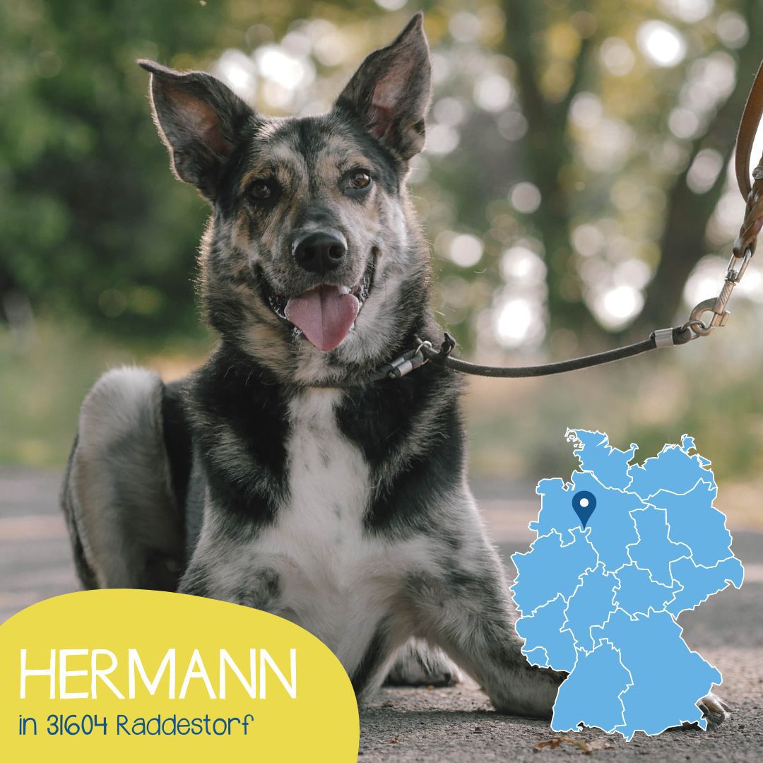 Hermann