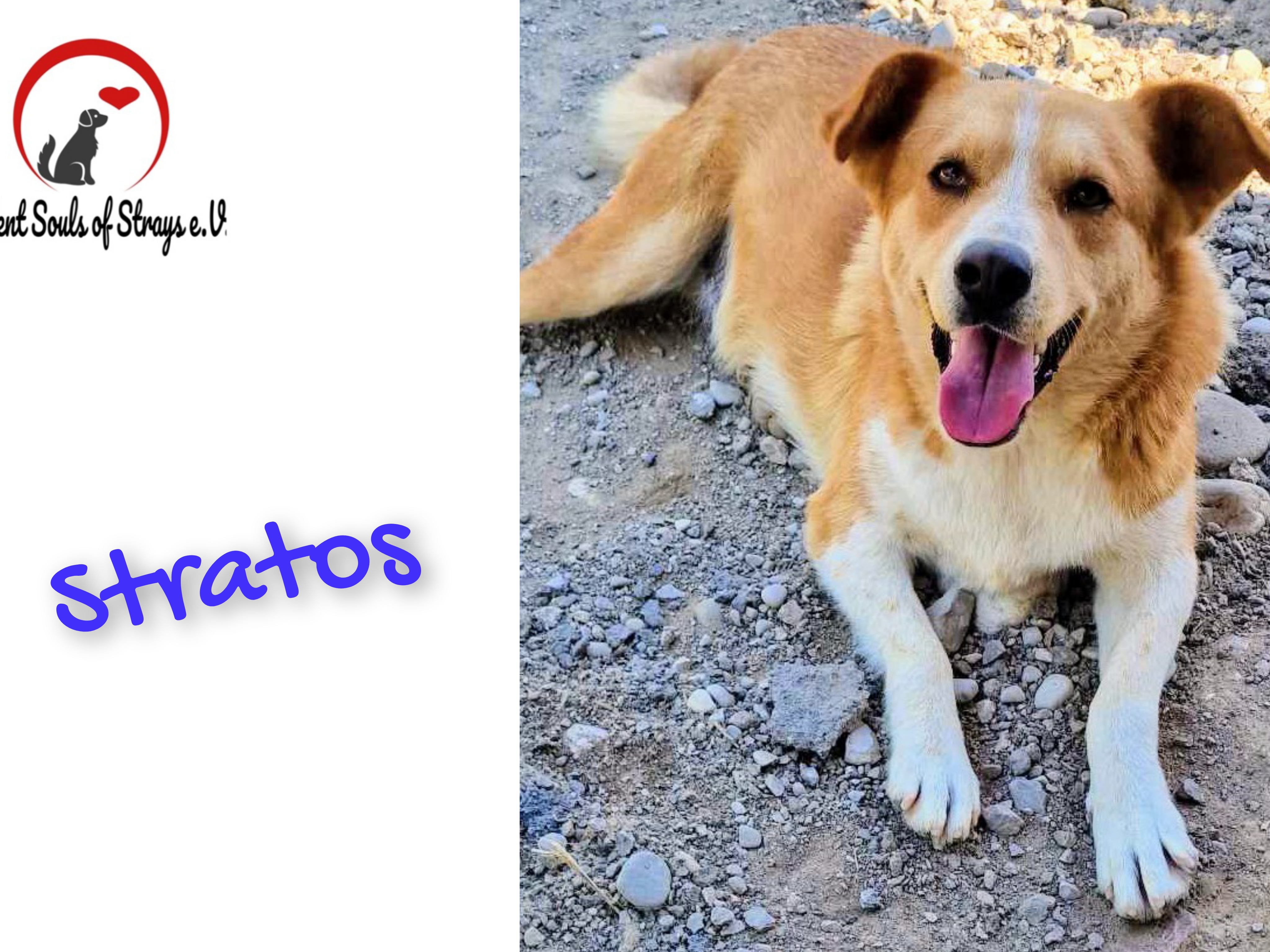 Stratos