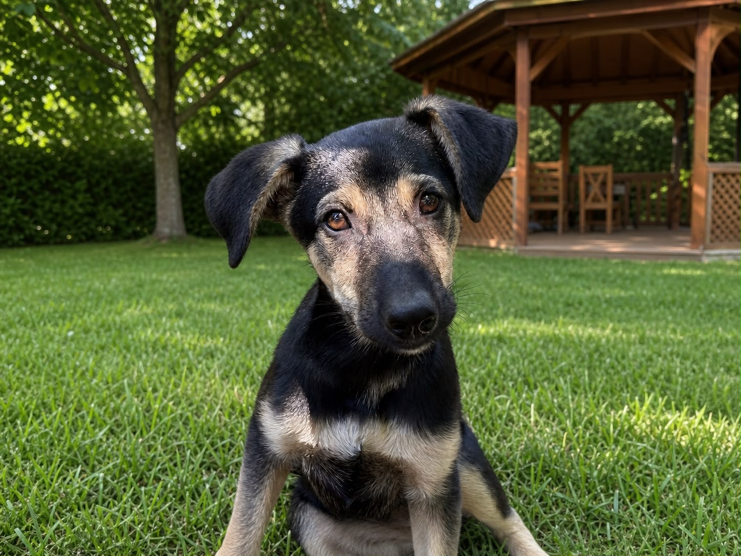 Lucy