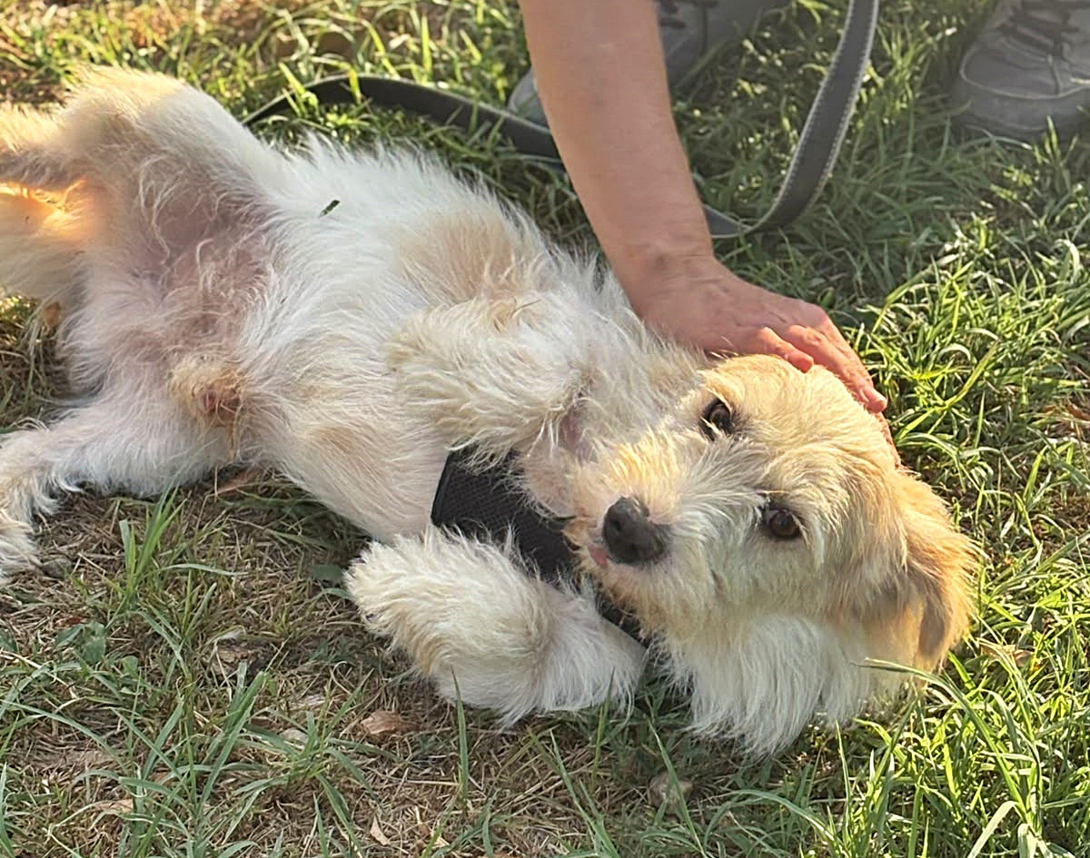 Sancho, lieb und nett