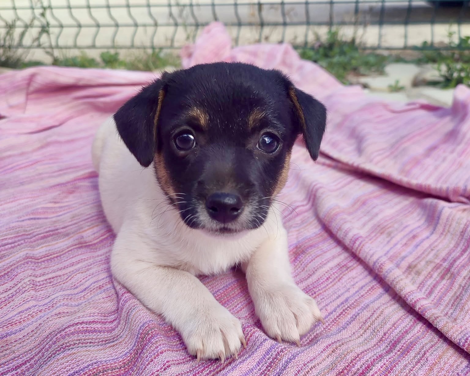Blake💕sehr aufgeschlossen