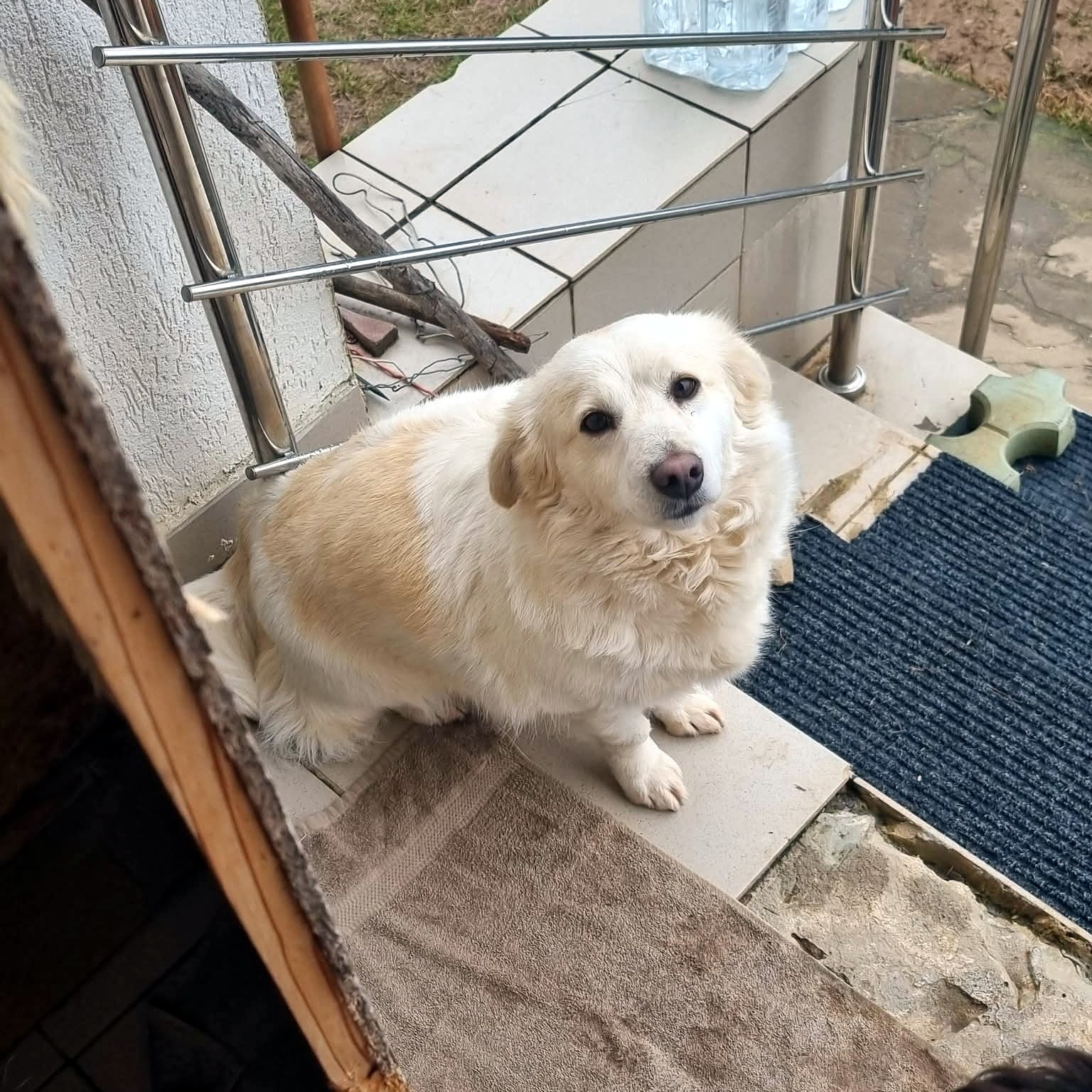 Schneeball Rita