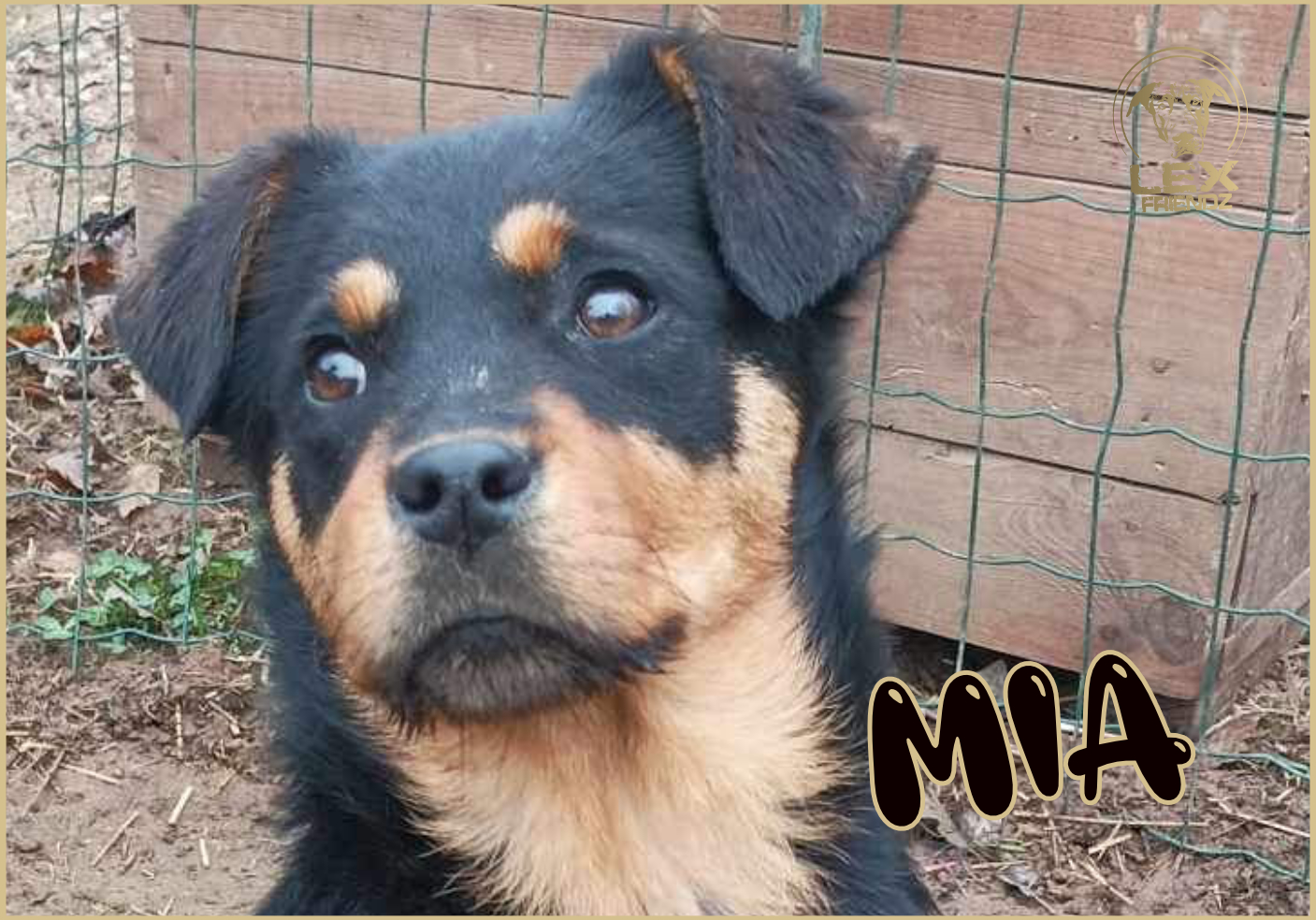 MIA