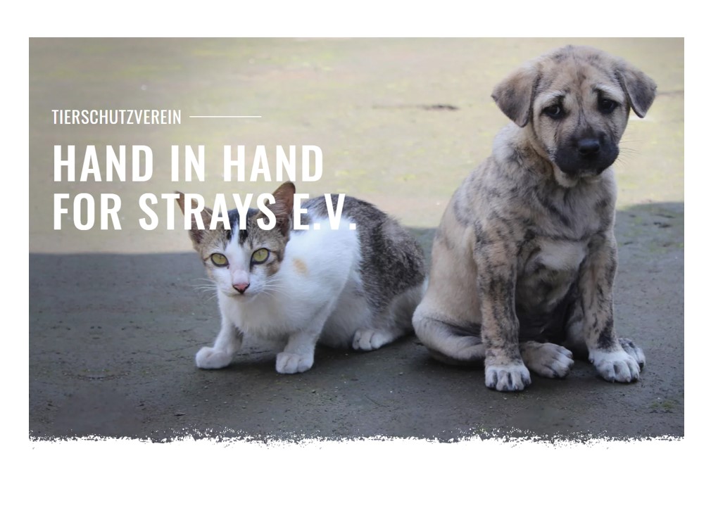 Hand in Hand for Strays e.V.