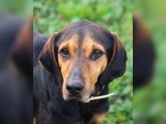 Holly - auch PS gesucht
