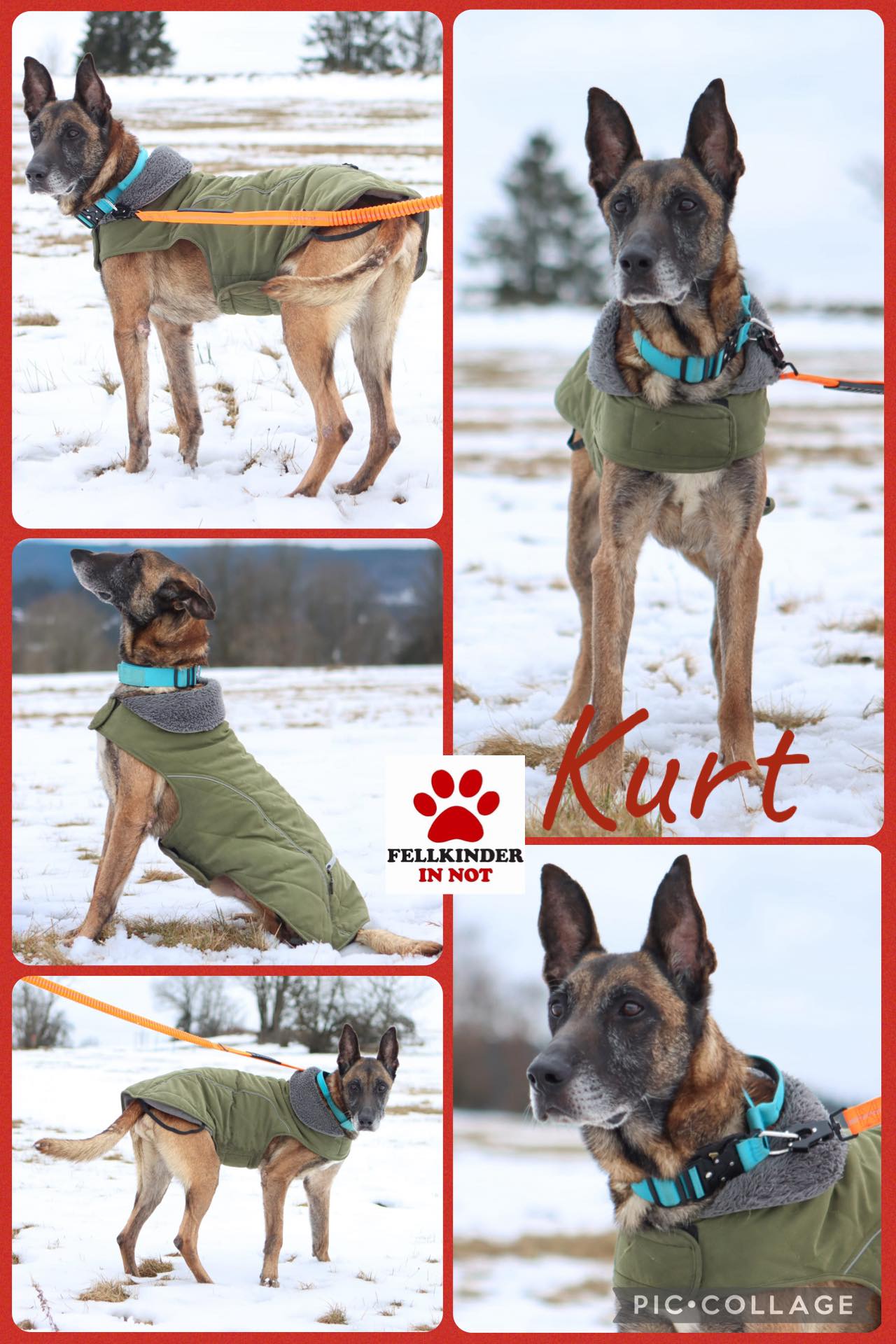 Kurt