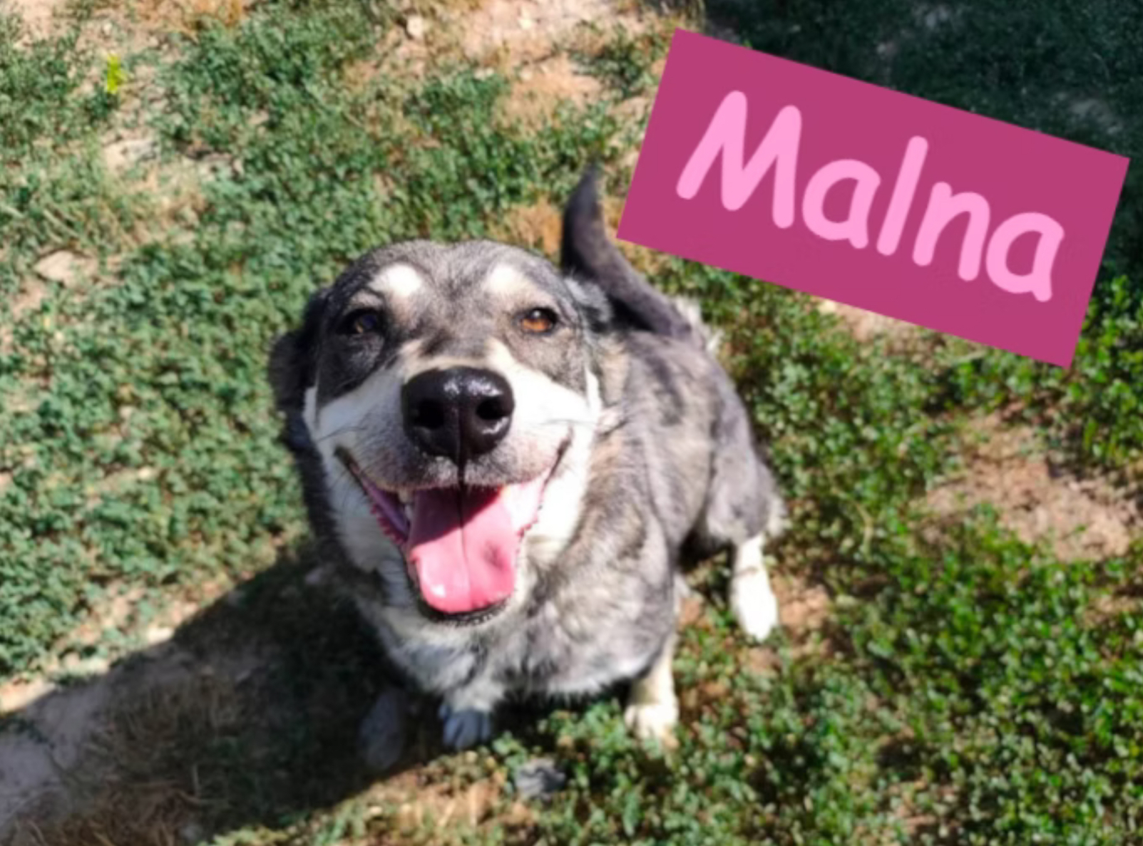 Malna