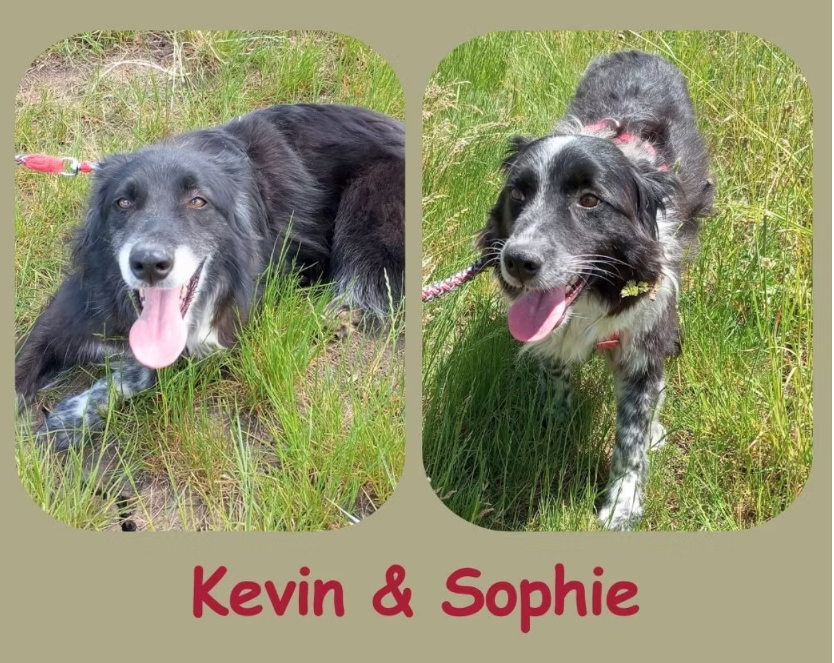 Kevin und Sophie