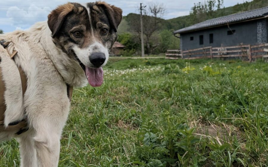 Zeynep