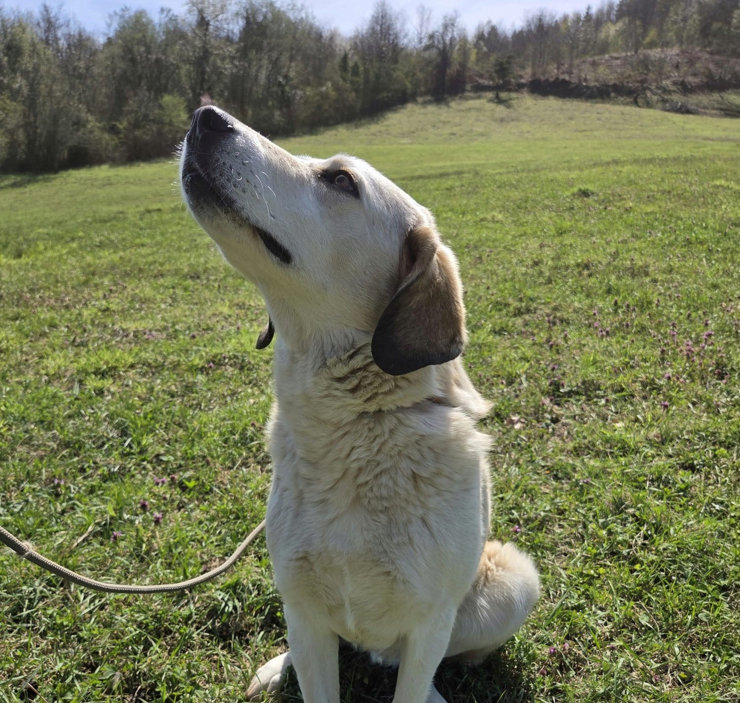 Billy
