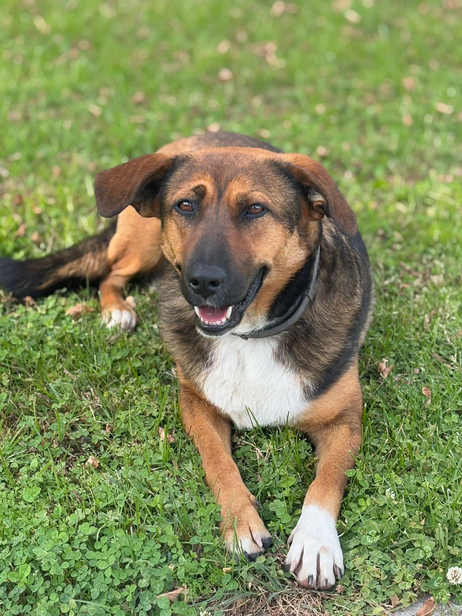 Keyla