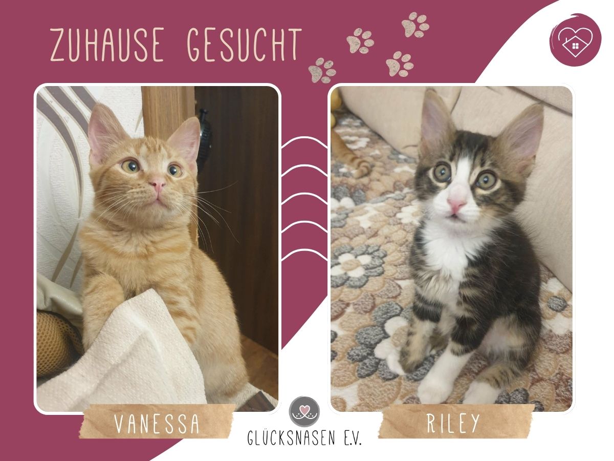 Vanessa und Riley sind bereit