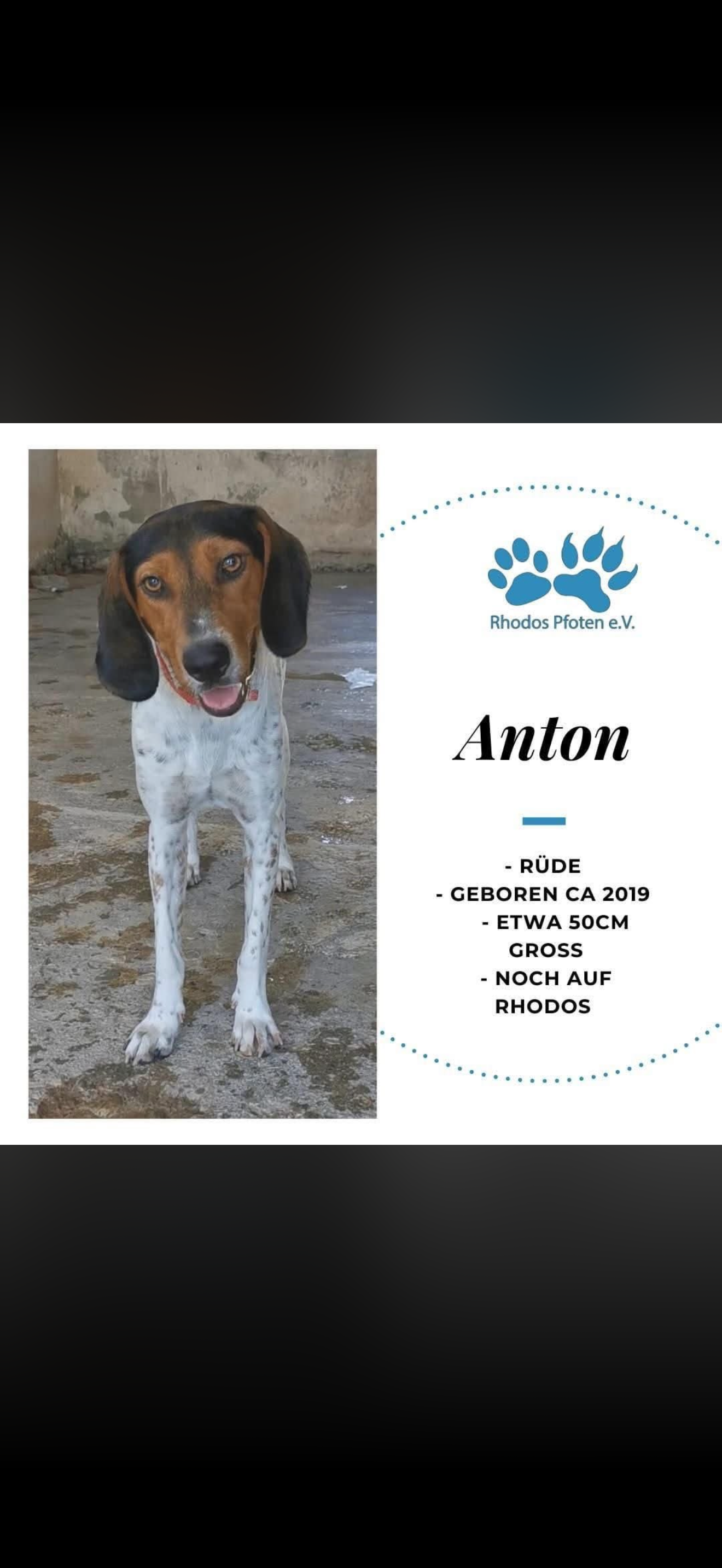Anton