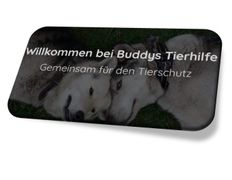 Buddys Tierhilfe