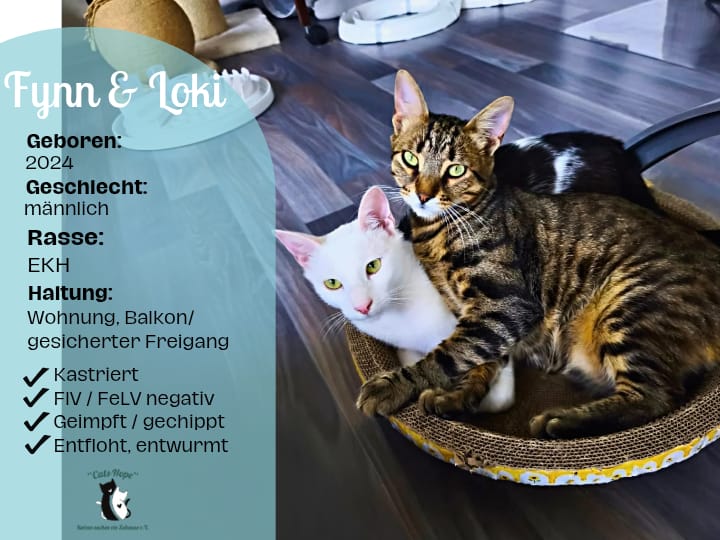 Fynn & Loki