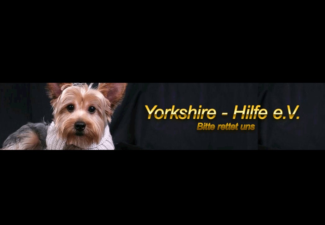 Tierschutzverein Yorkshire - Hilfe e.V.
