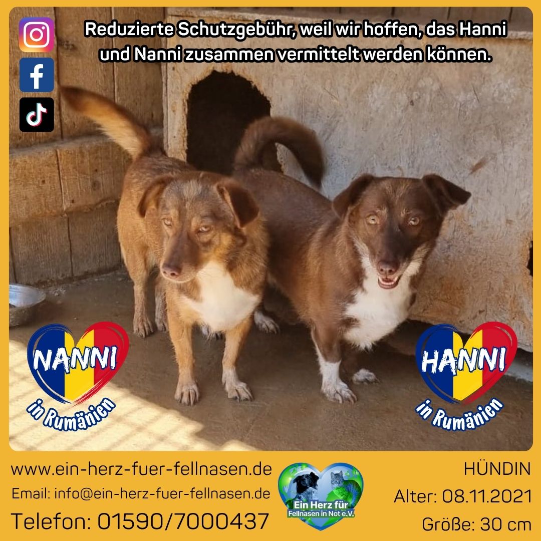 Hanni und Nanni 🐾