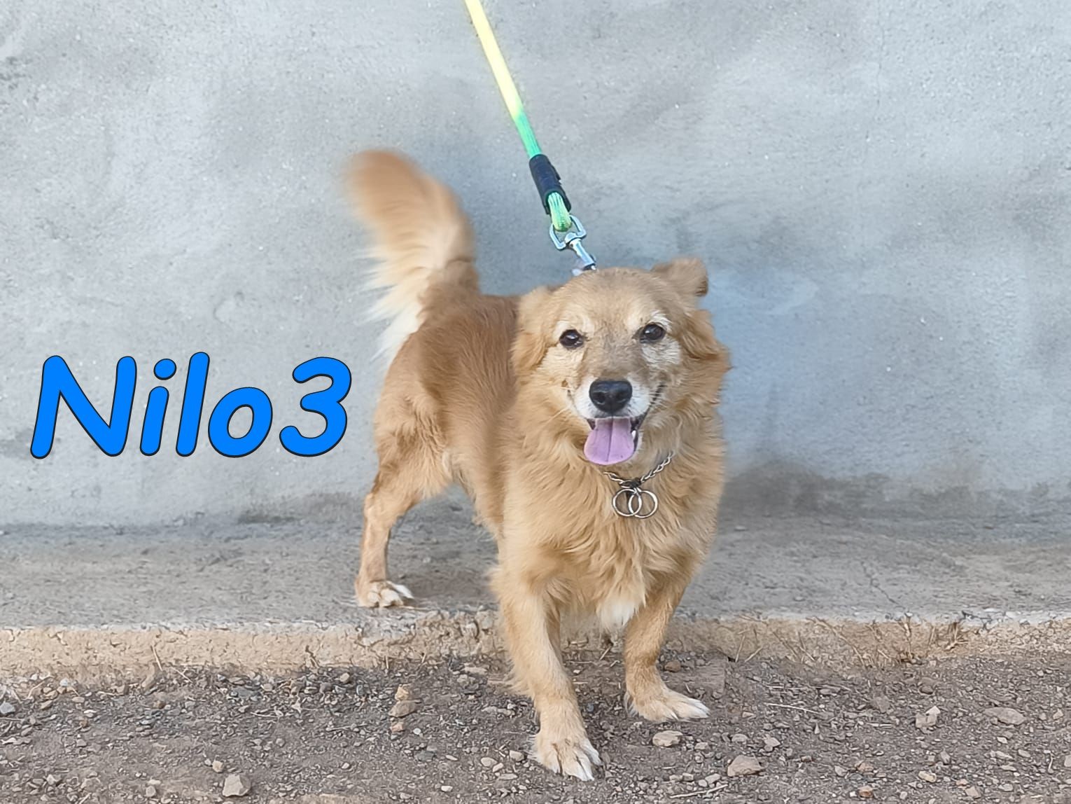 Nilo3