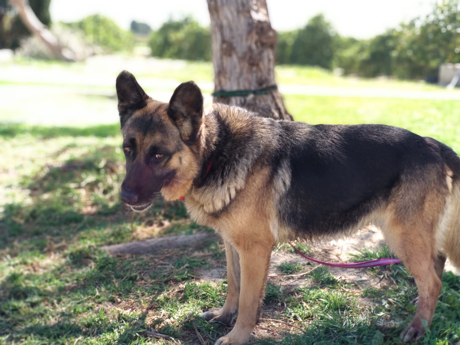 🍀WANDA🍀- verdient eine Familie