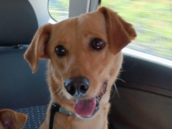 COOPER