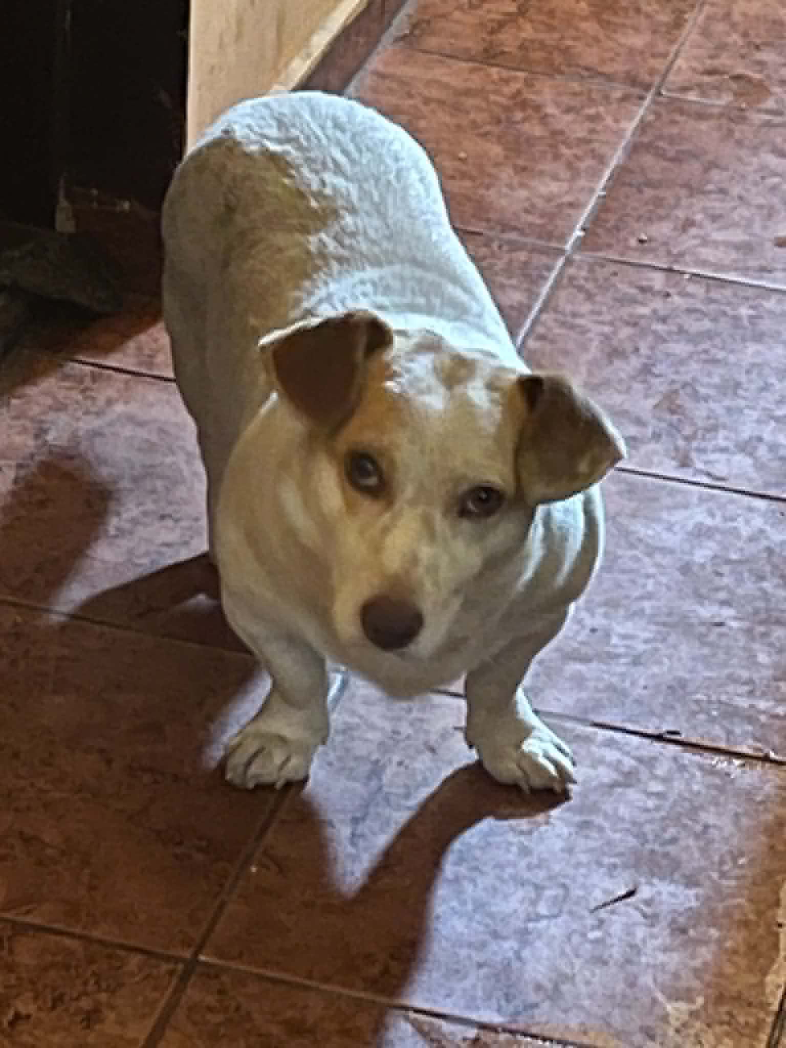 Chester
