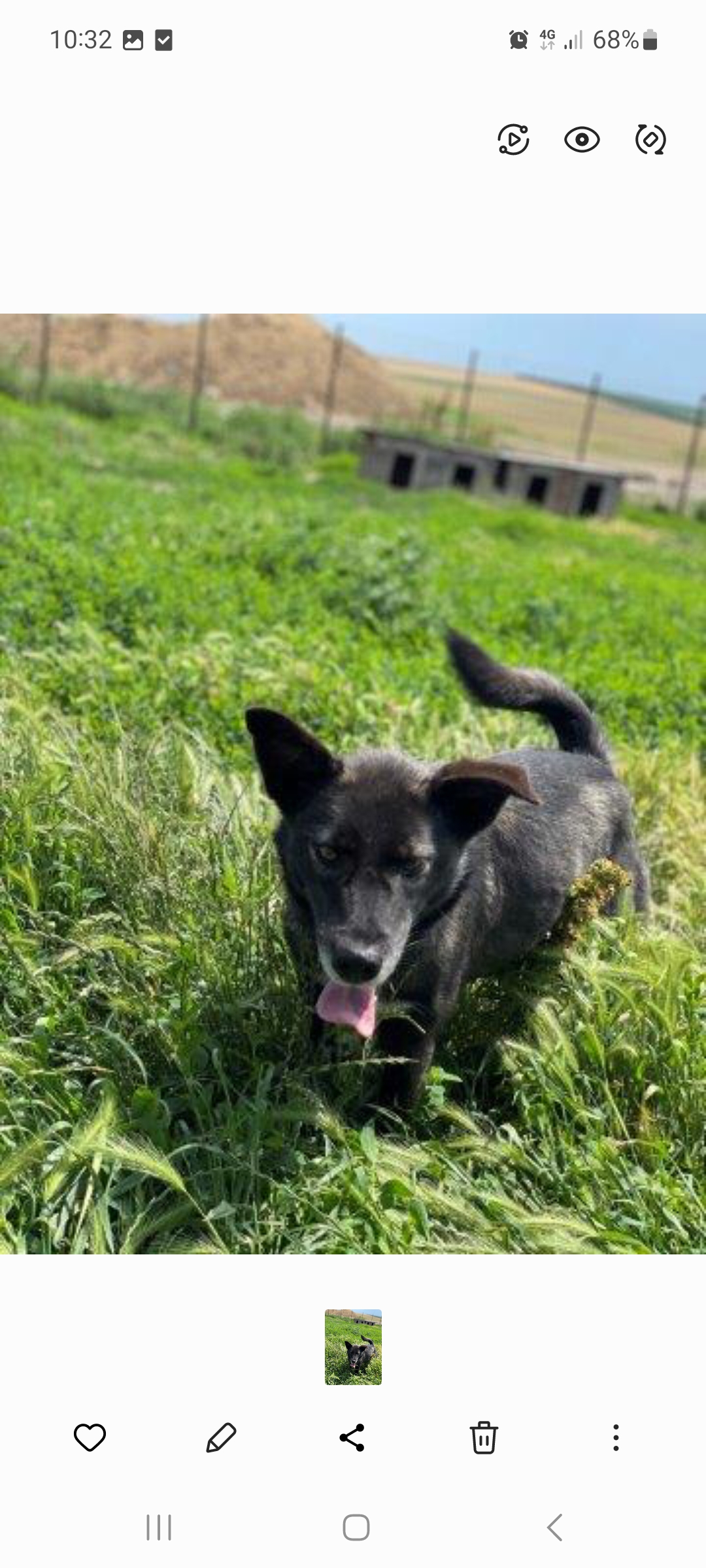Zita