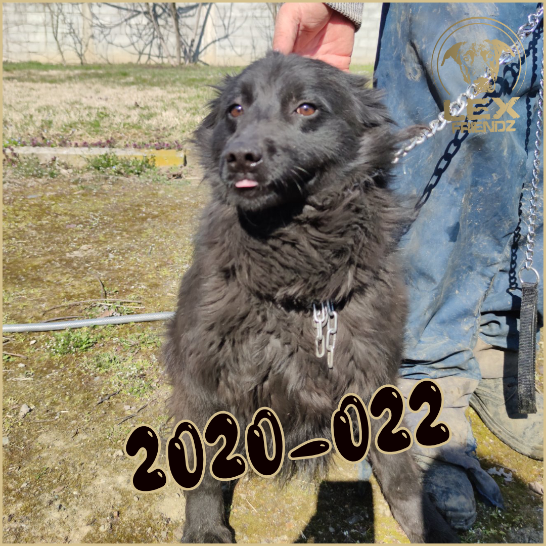 2020-022